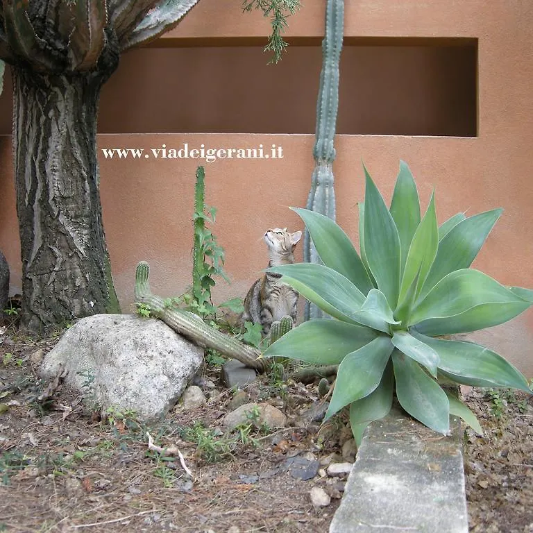 Bed & Breakfast Via Dei Gerani B&B Sinnai